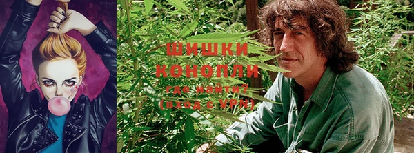 винт Наволоки