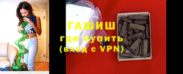 индика Горно-Алтайск
