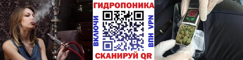 Бошки марихуана Amnesia  цена   Сельцо 